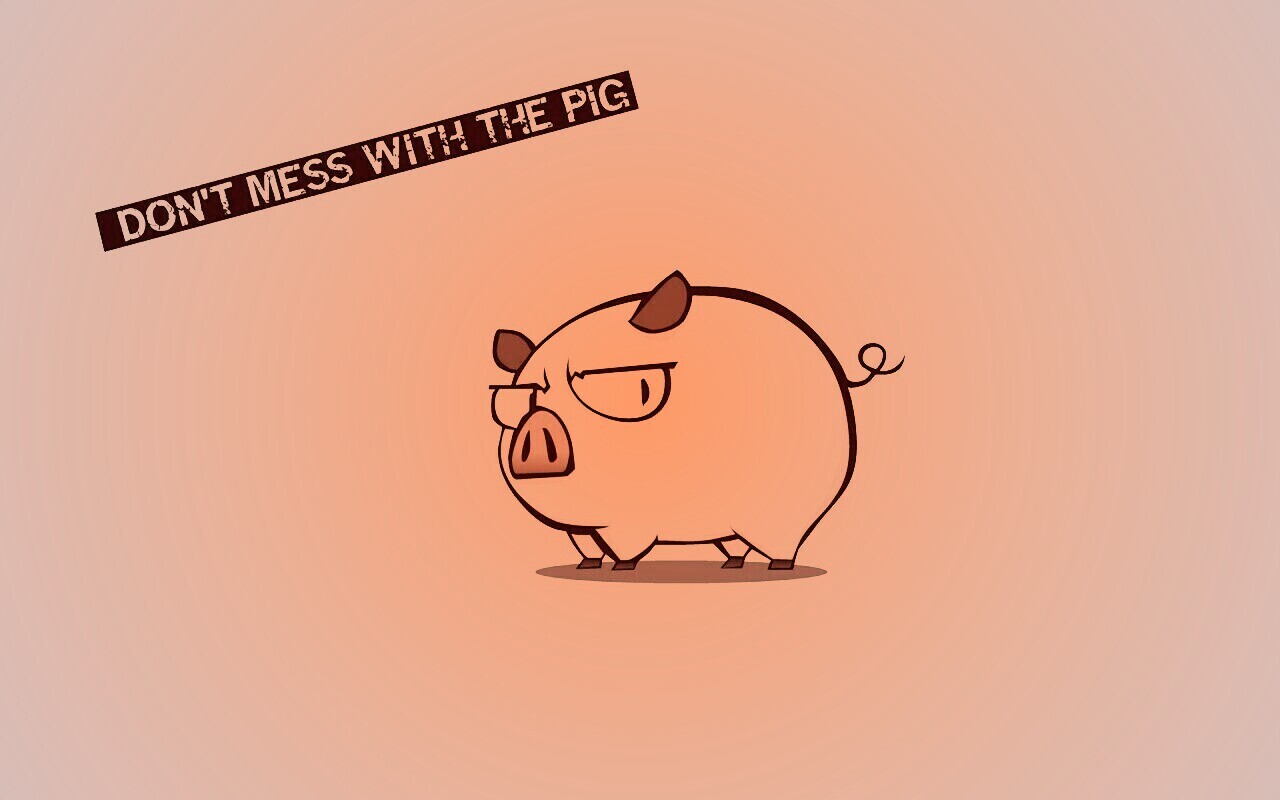 Не путайся со свиньей обои