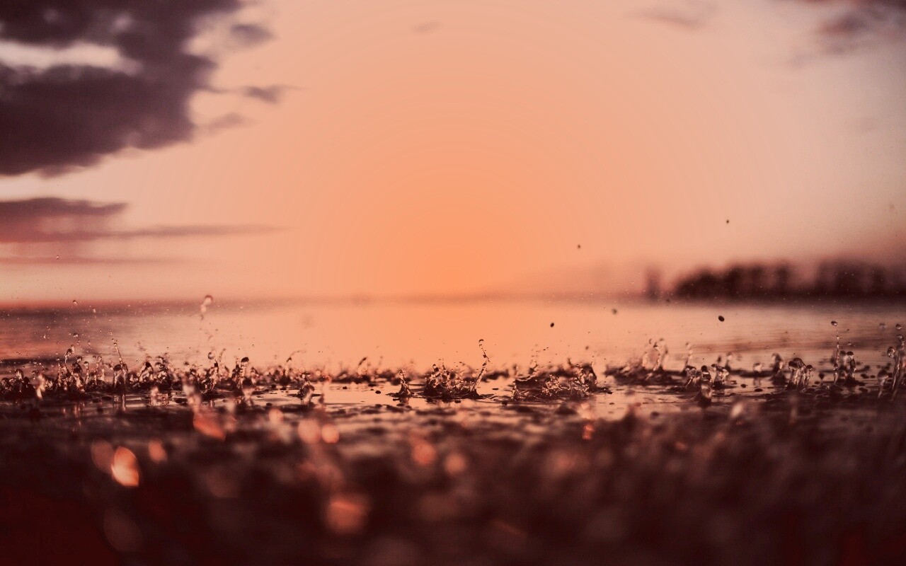 Дождь в макро обои