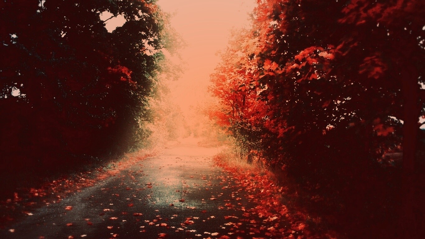 Желтая дорога обои