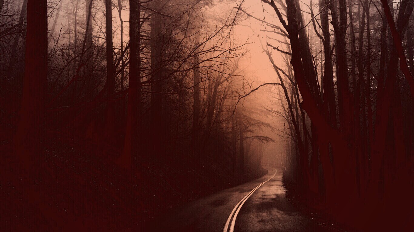 В туман обои