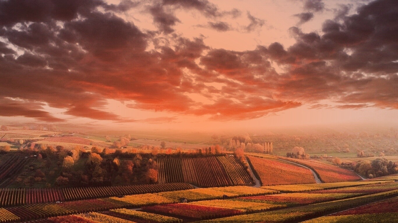 Обработанные земли в пригороде обои