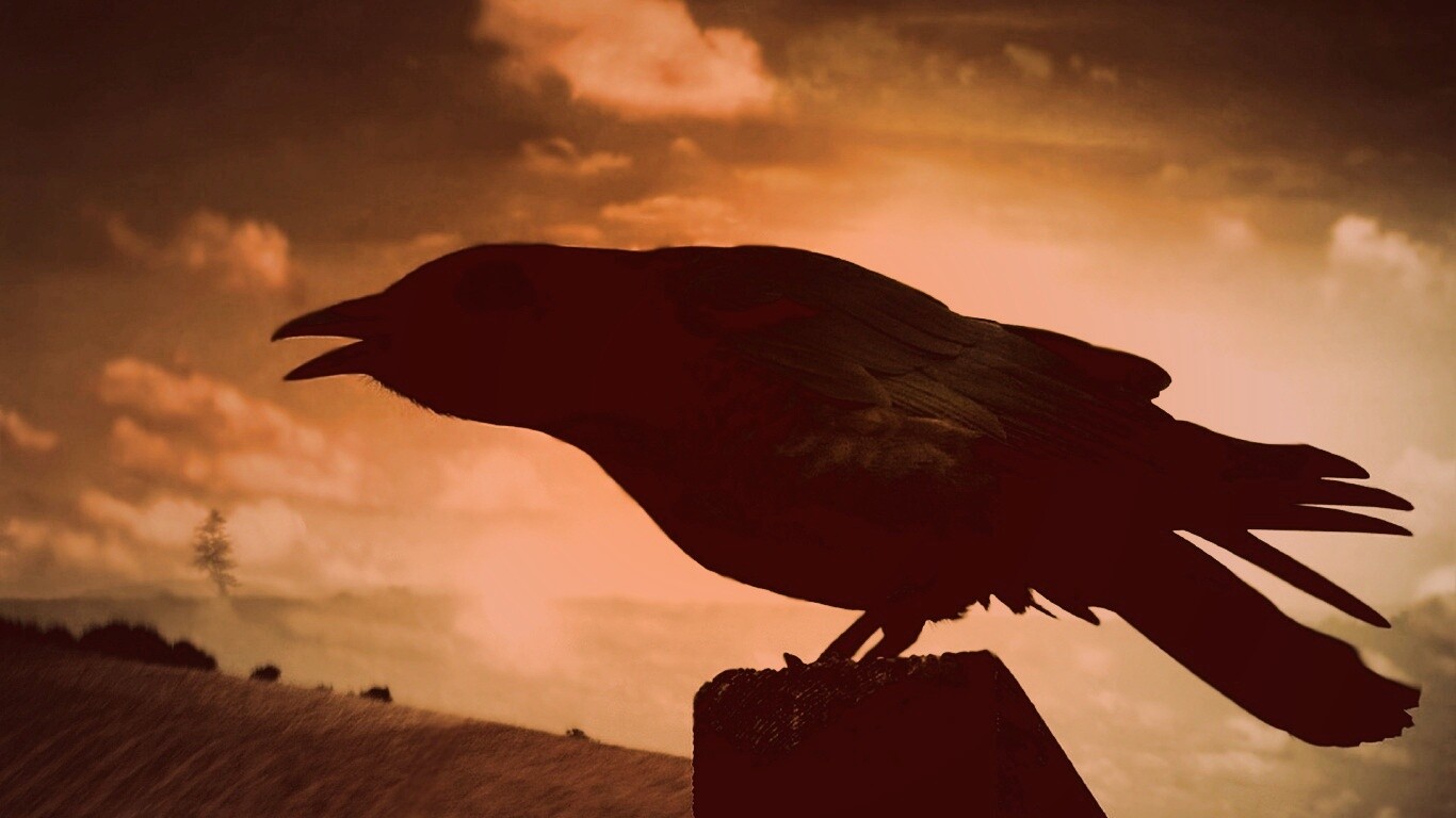 Чёрный ворон обои