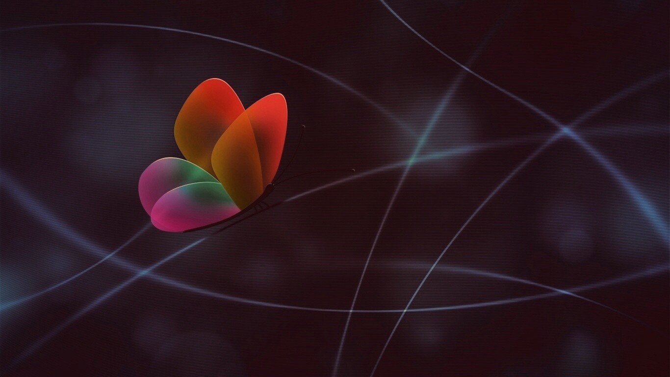 Бабочка с радужными крыльями обои