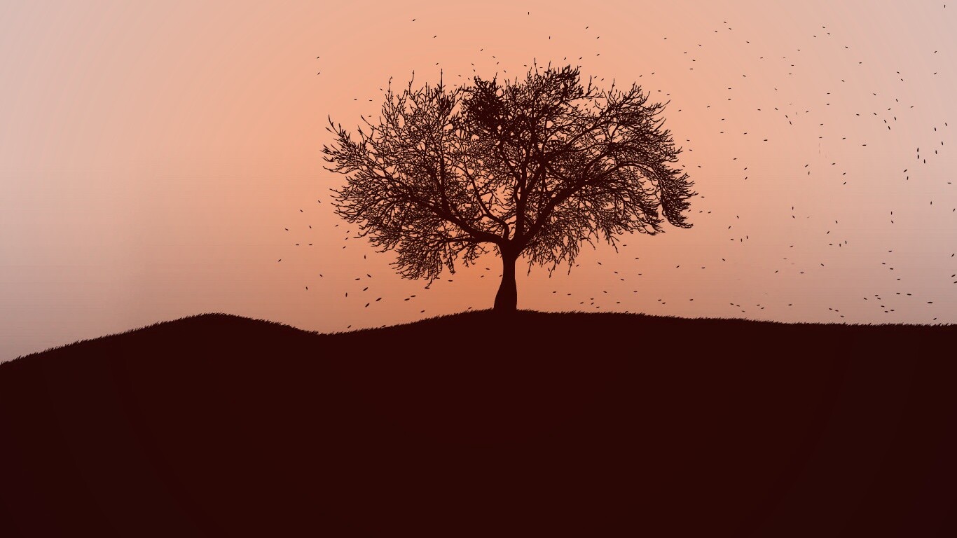 Черное дерево обои