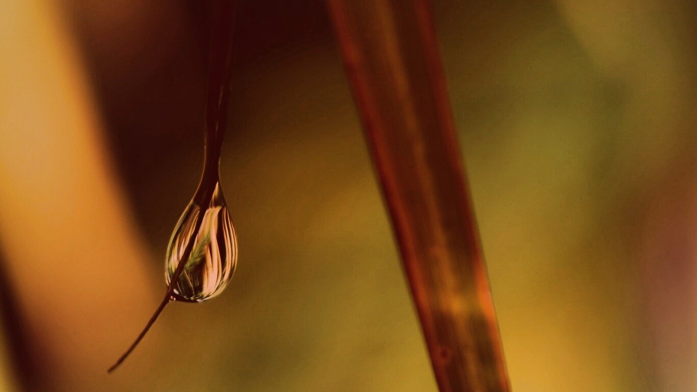 Стекающая капля обои