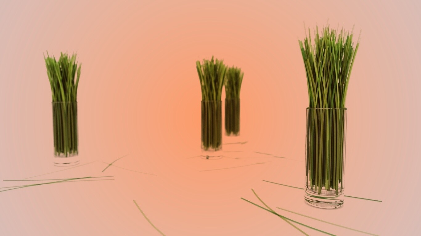 Трава в стакане обои