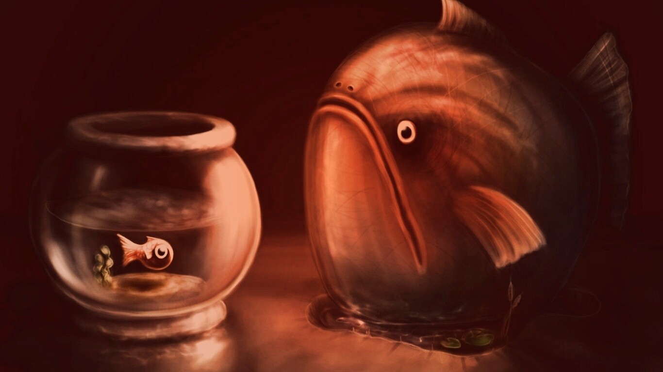 Большая и маленькая рыбки обои