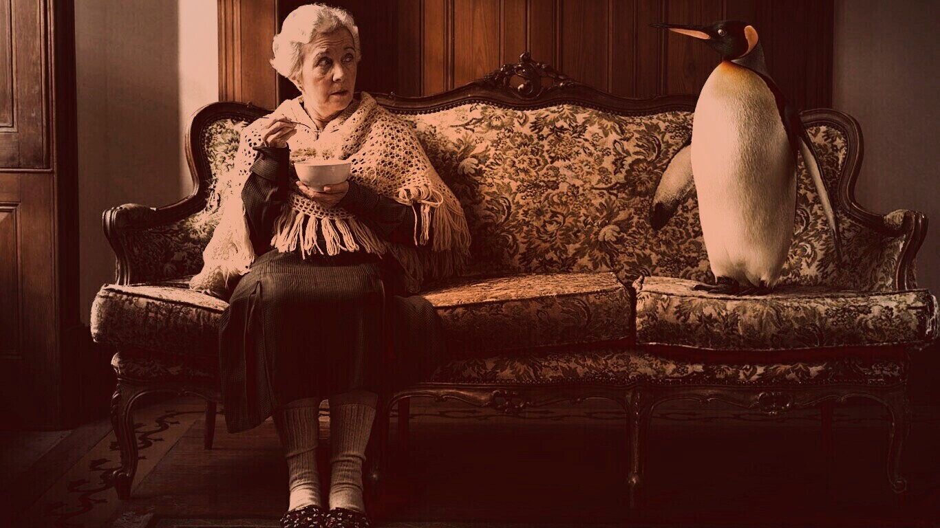 Соседи по дивану обои