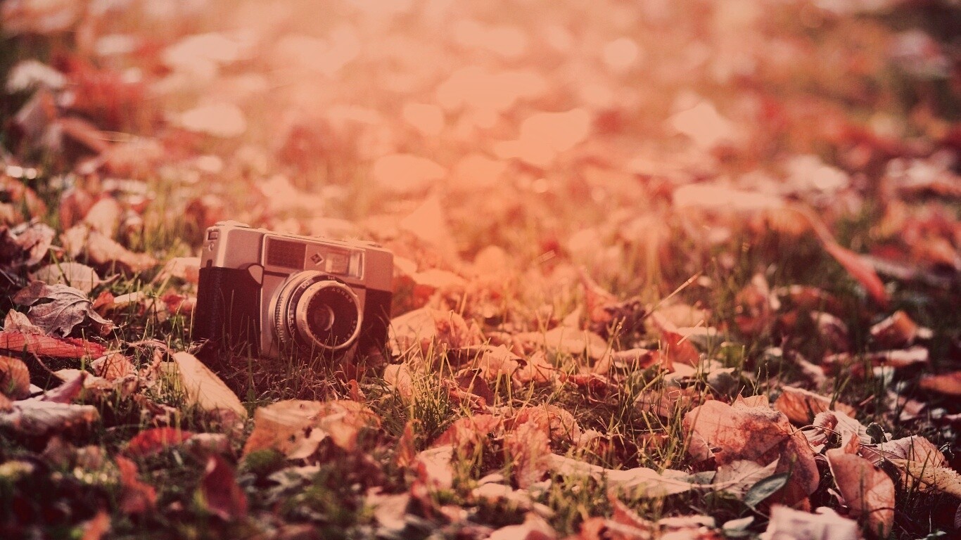 Старый фотоаппарат в траве обои