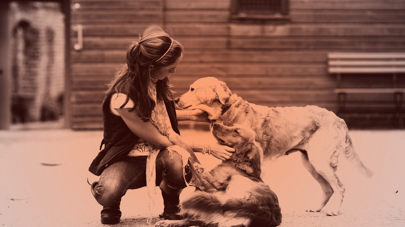 Девушка с собаками обои