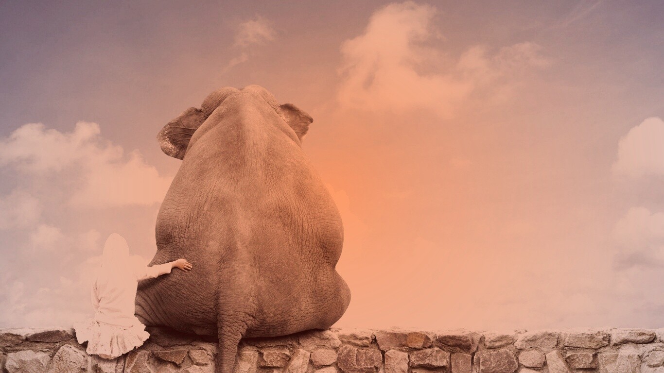 Девочка и слон обои