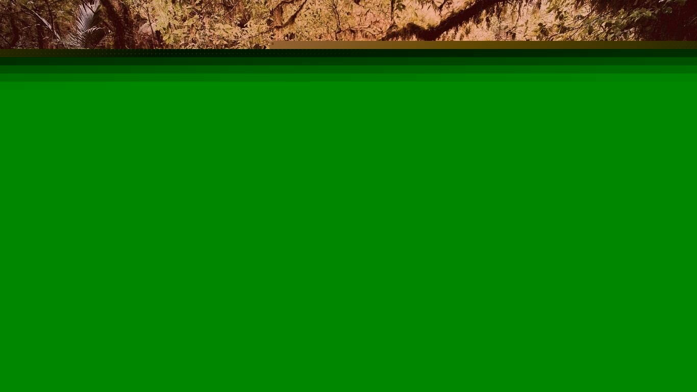 Лесной руче обои