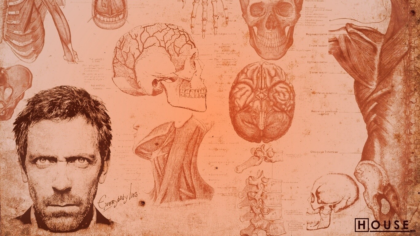 Анатомические рисунки доктора Хауса обои