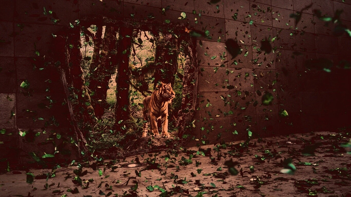 Портал в джунги обои