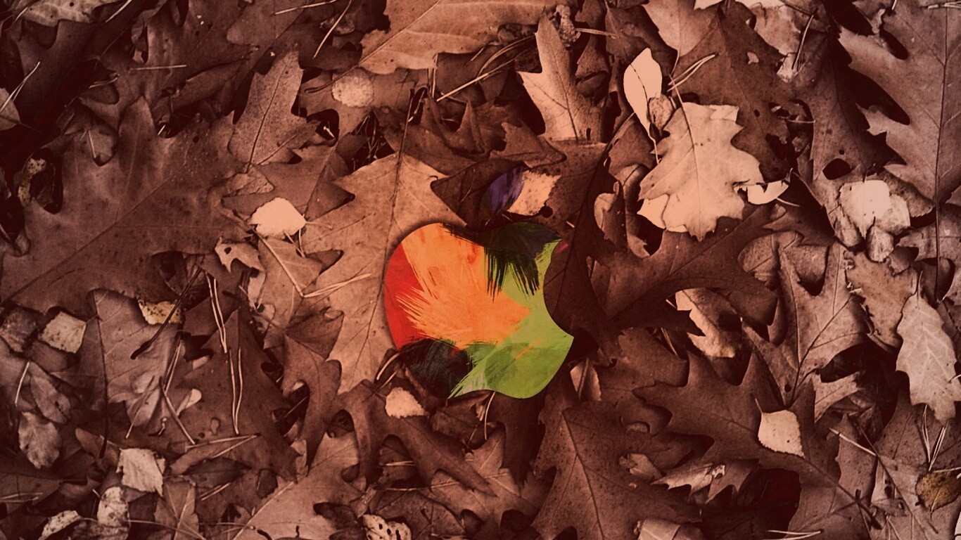 Эпл в сухой листве обои