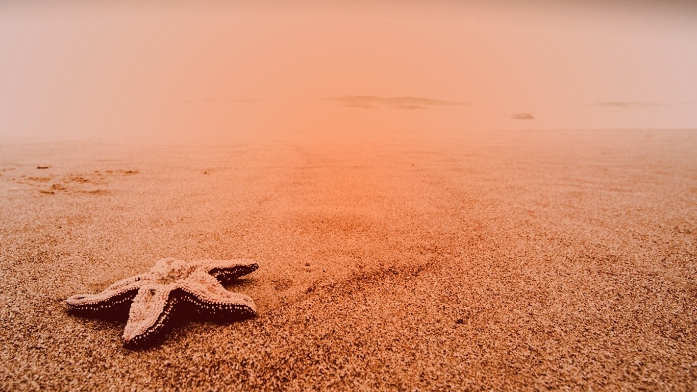 Морская звезда на бесконечном пляже обои