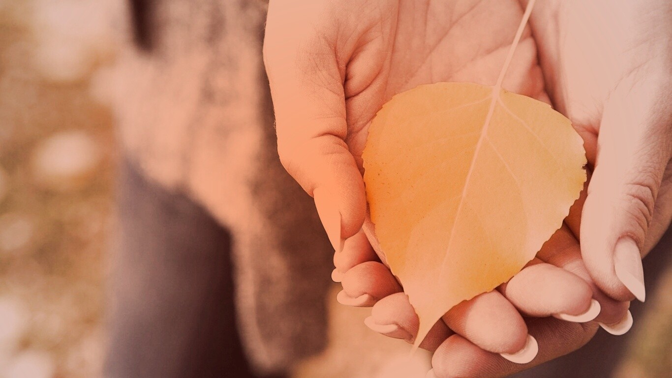 Осенний лист в руках обои