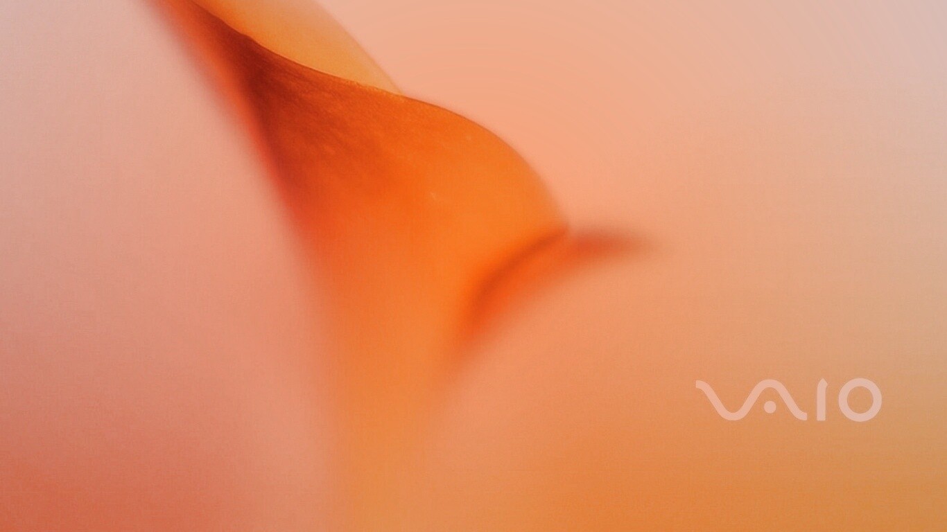 Цветок и логотип Vaio обои