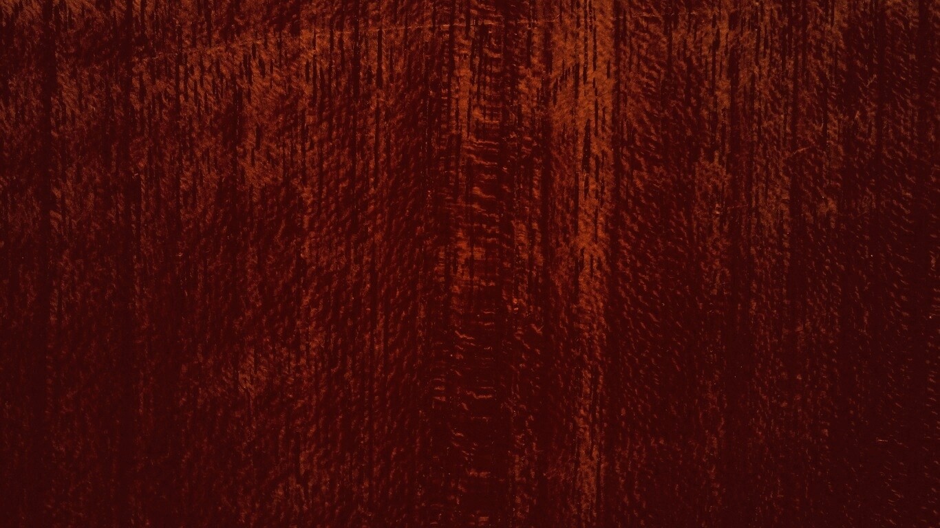 Темно-оранжевое дерево обои