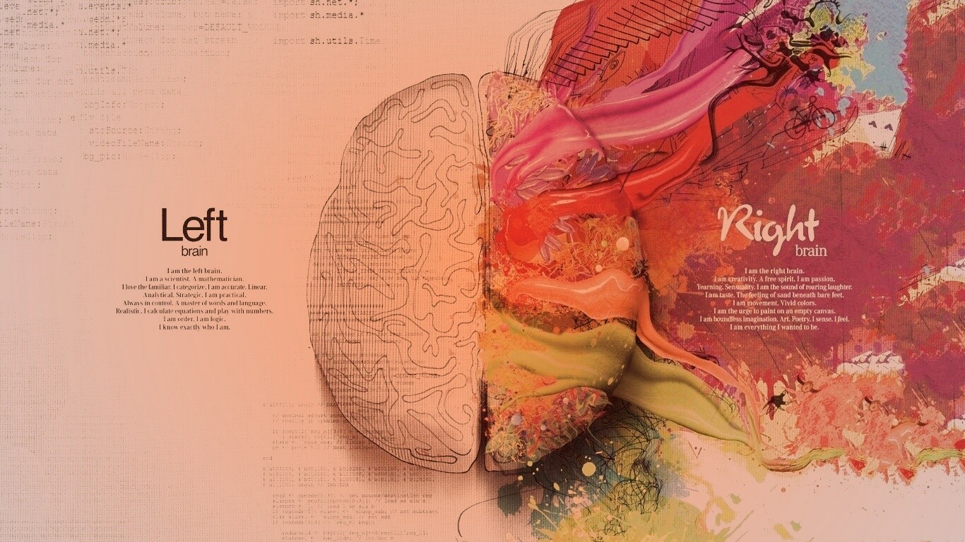 Различия левого и правого полушария обои