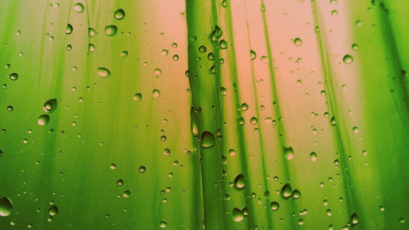 Капли на зеленом пластике обои