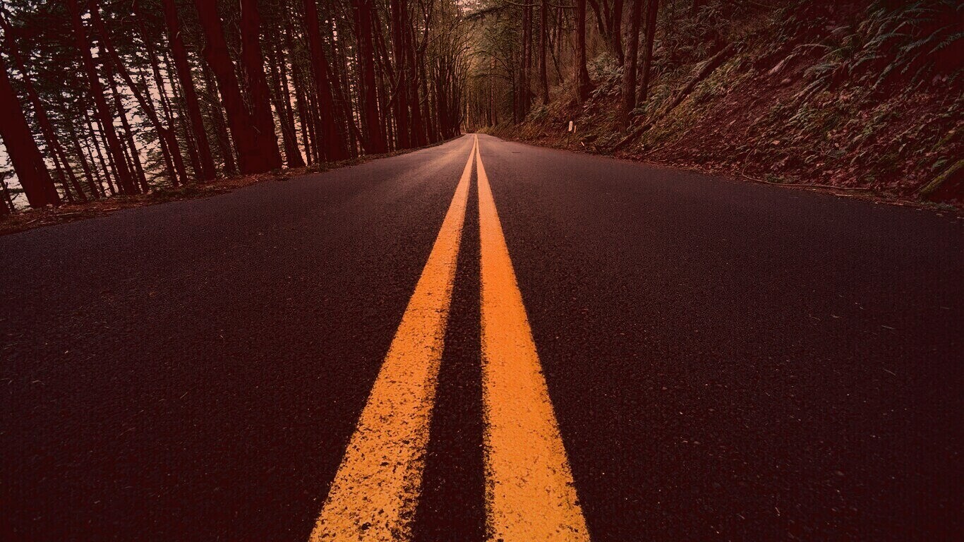 Дорога в лесу обои