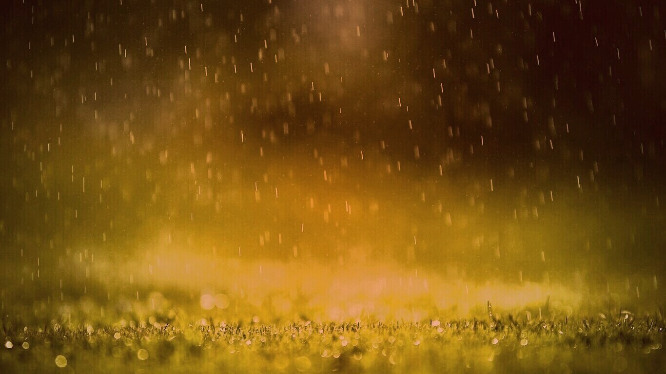 Трава под дождем обои