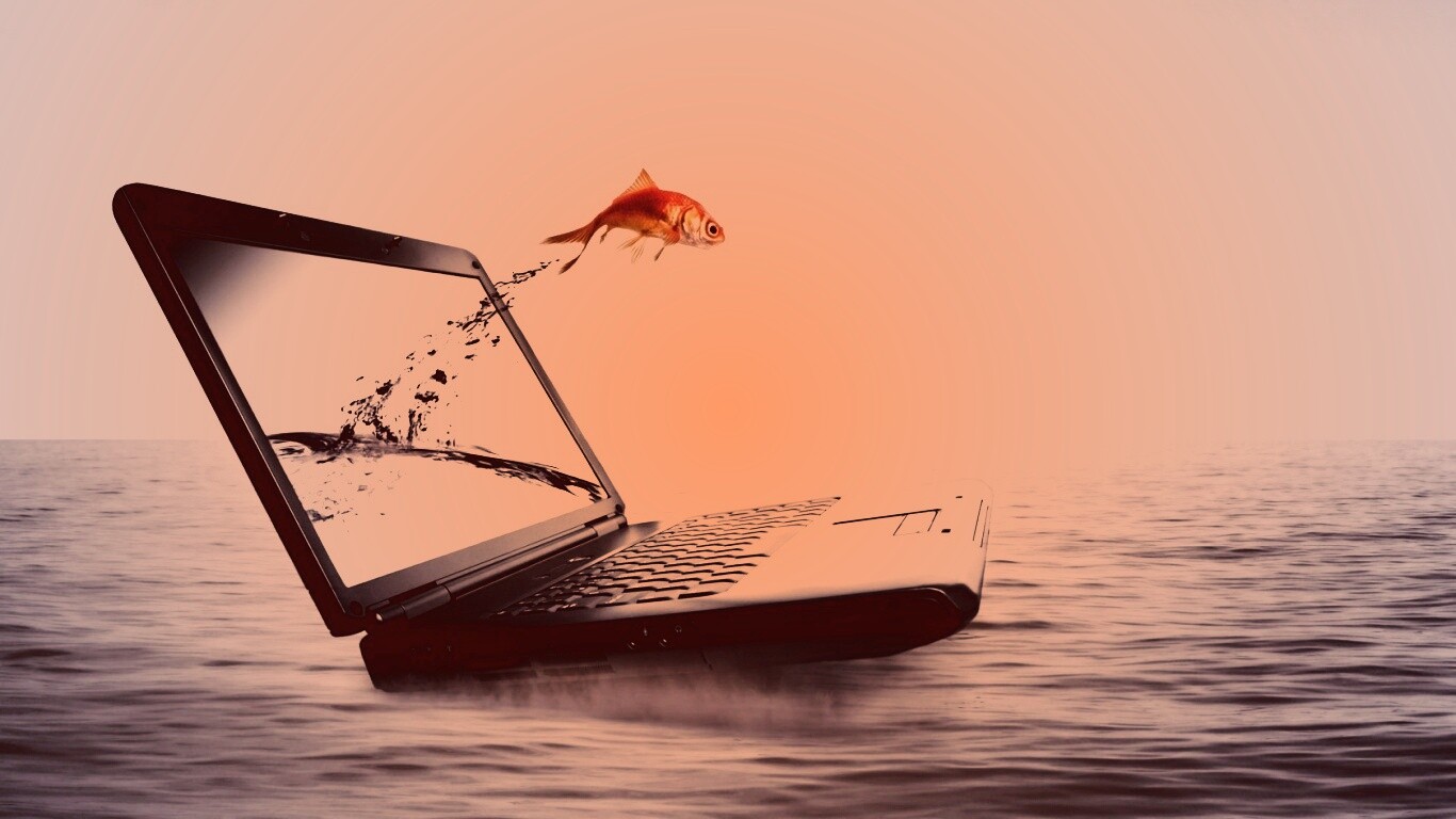 Золотая рыбка обои