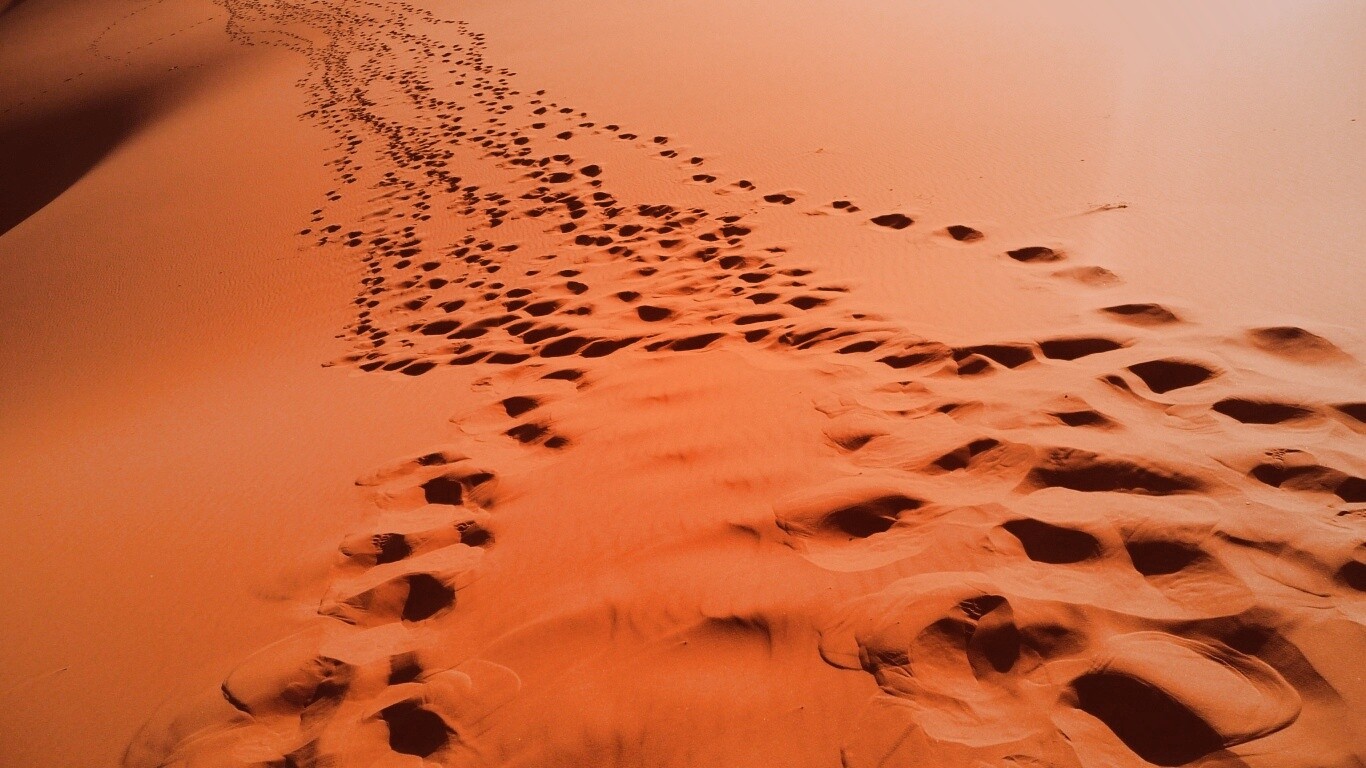 Следы в пустыне обои