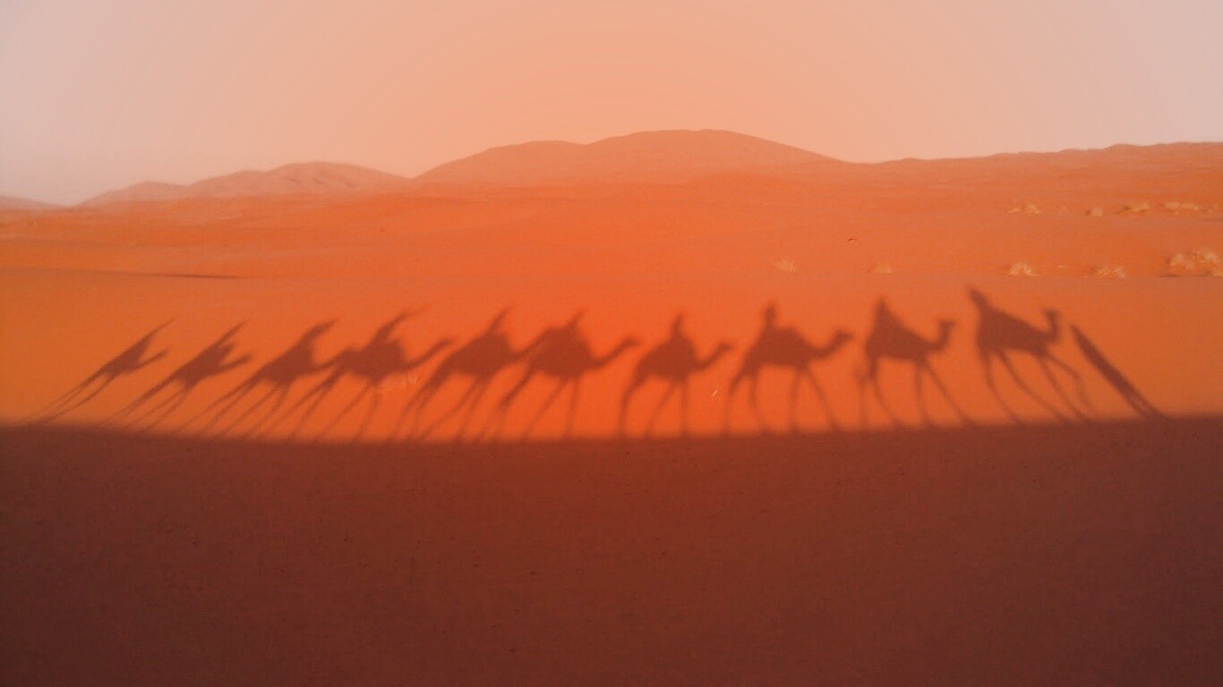 Караван обои