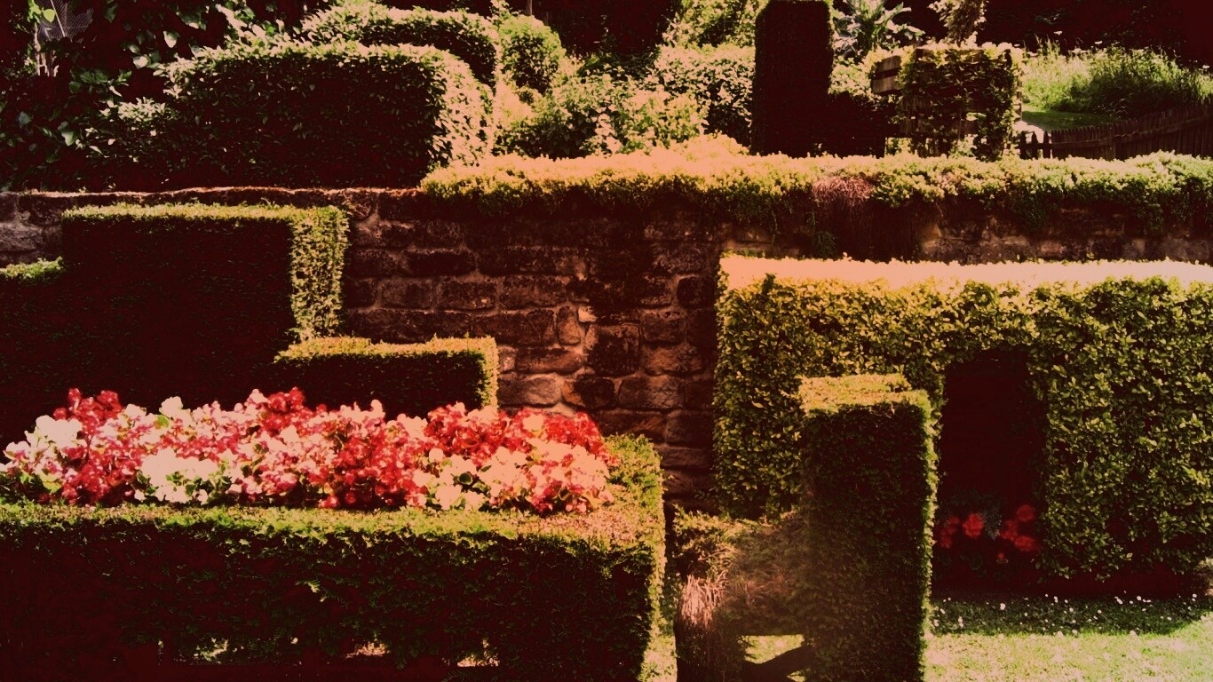 Декоративный сад обои