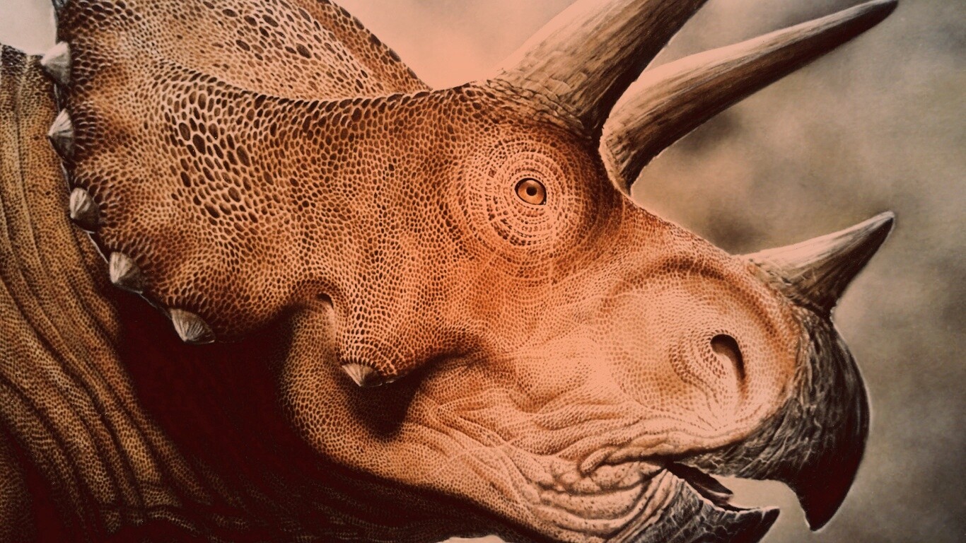 Трицератопс обои