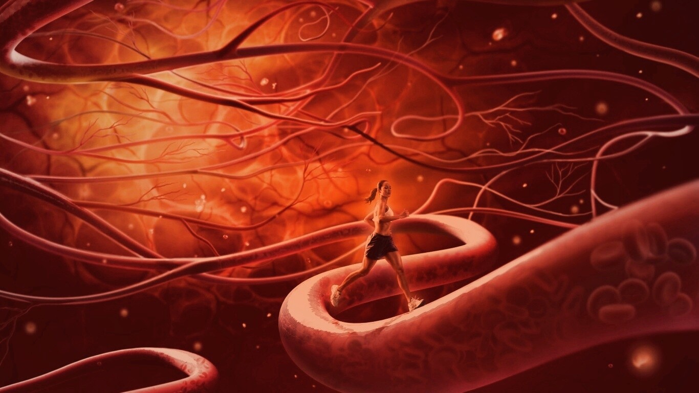 Бег крови обои