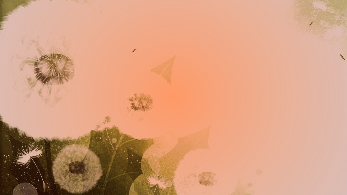 Одуванчики обои