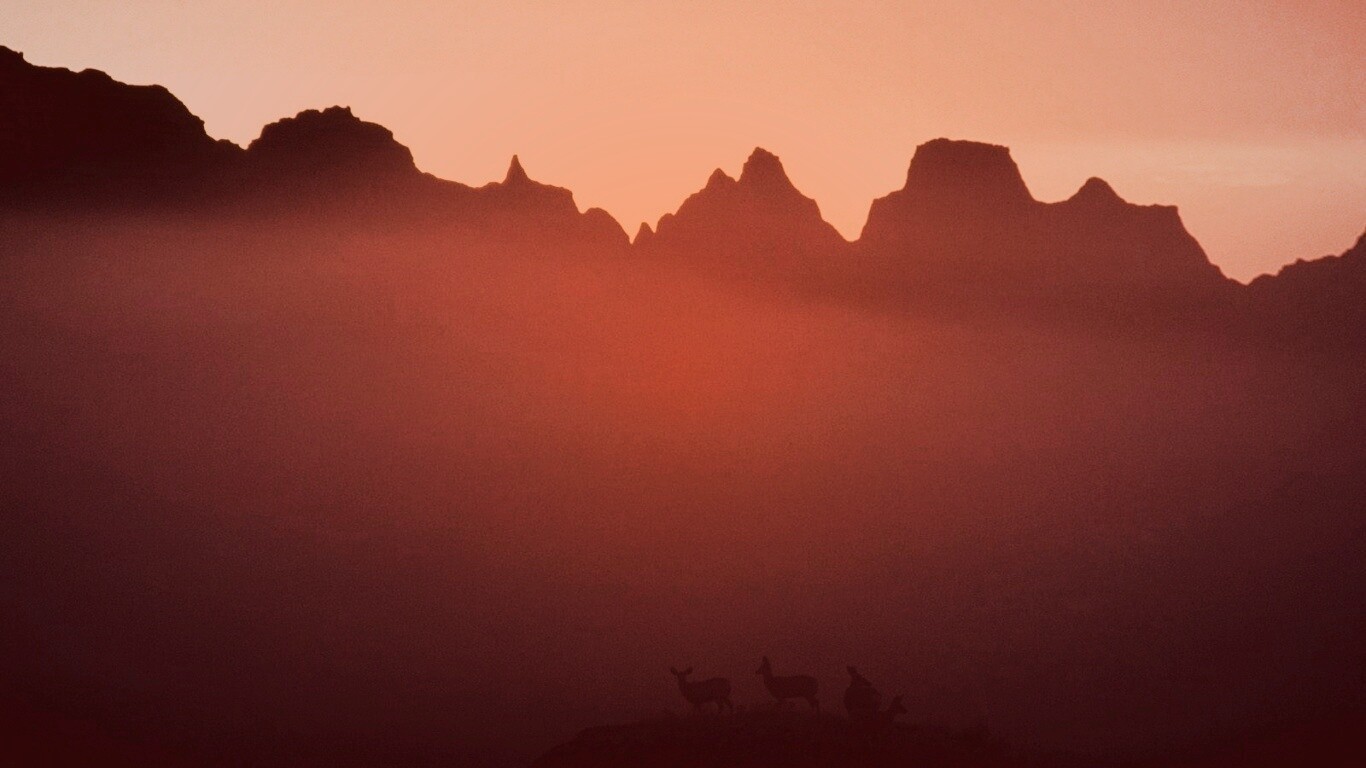 Вечер в национальном парке обои