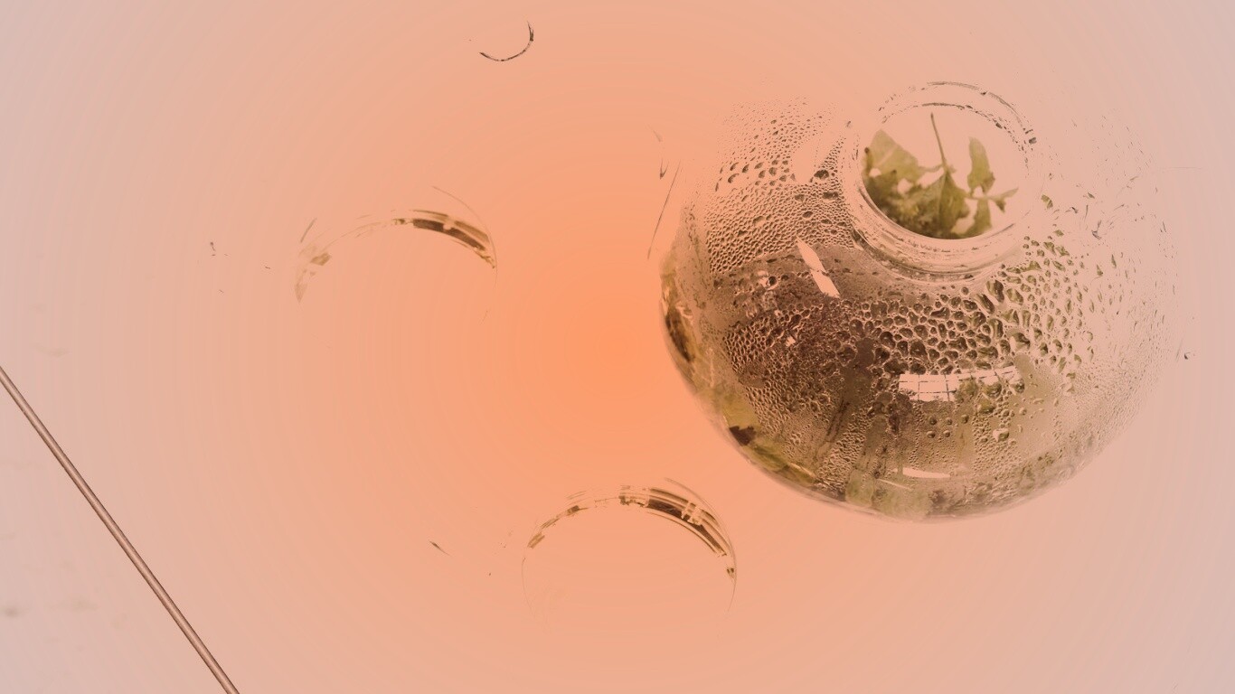 Зеленый чай обои