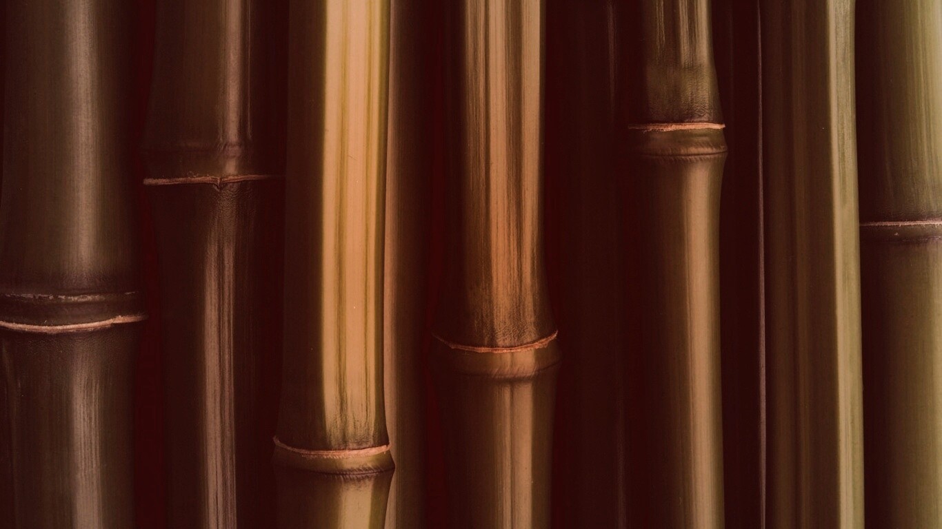 Бамбуковая роща обои