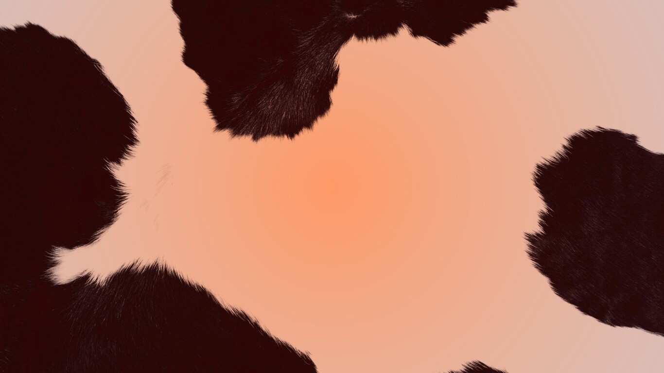 Шкура коровы обои