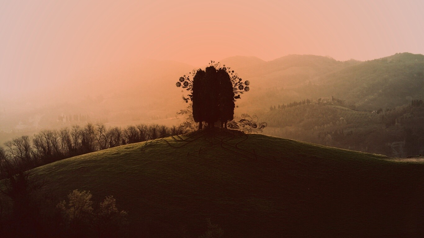 Деревья на холме обои