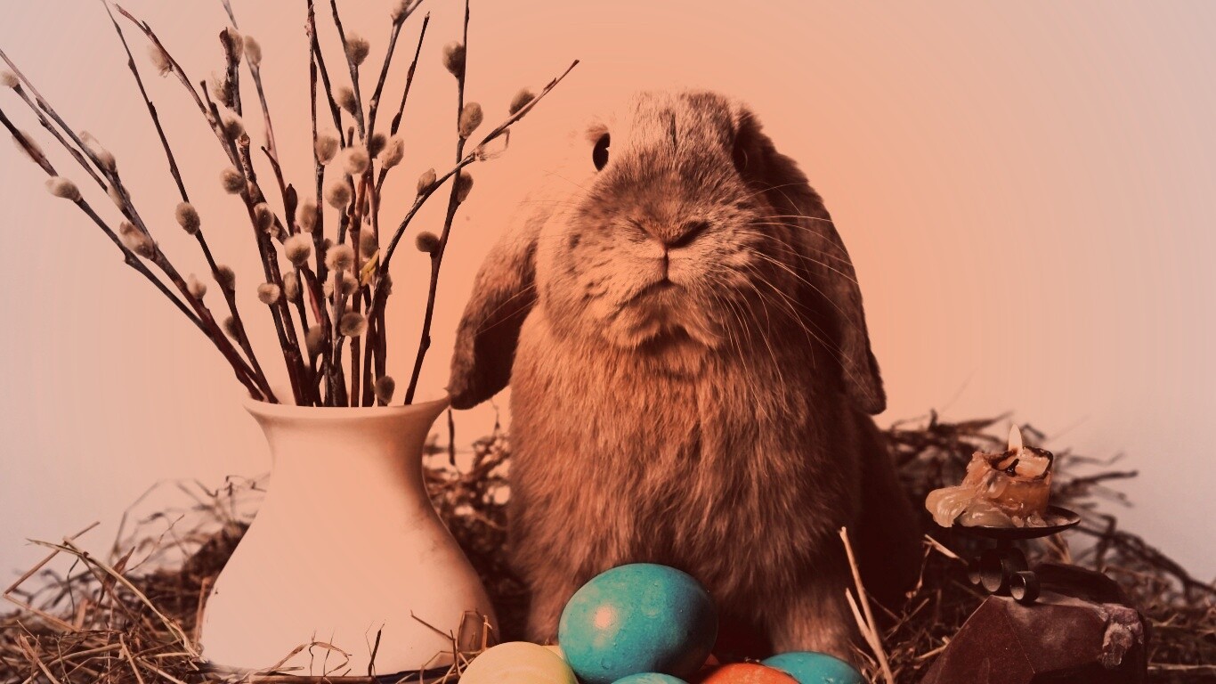 Пасхальный кролик обои