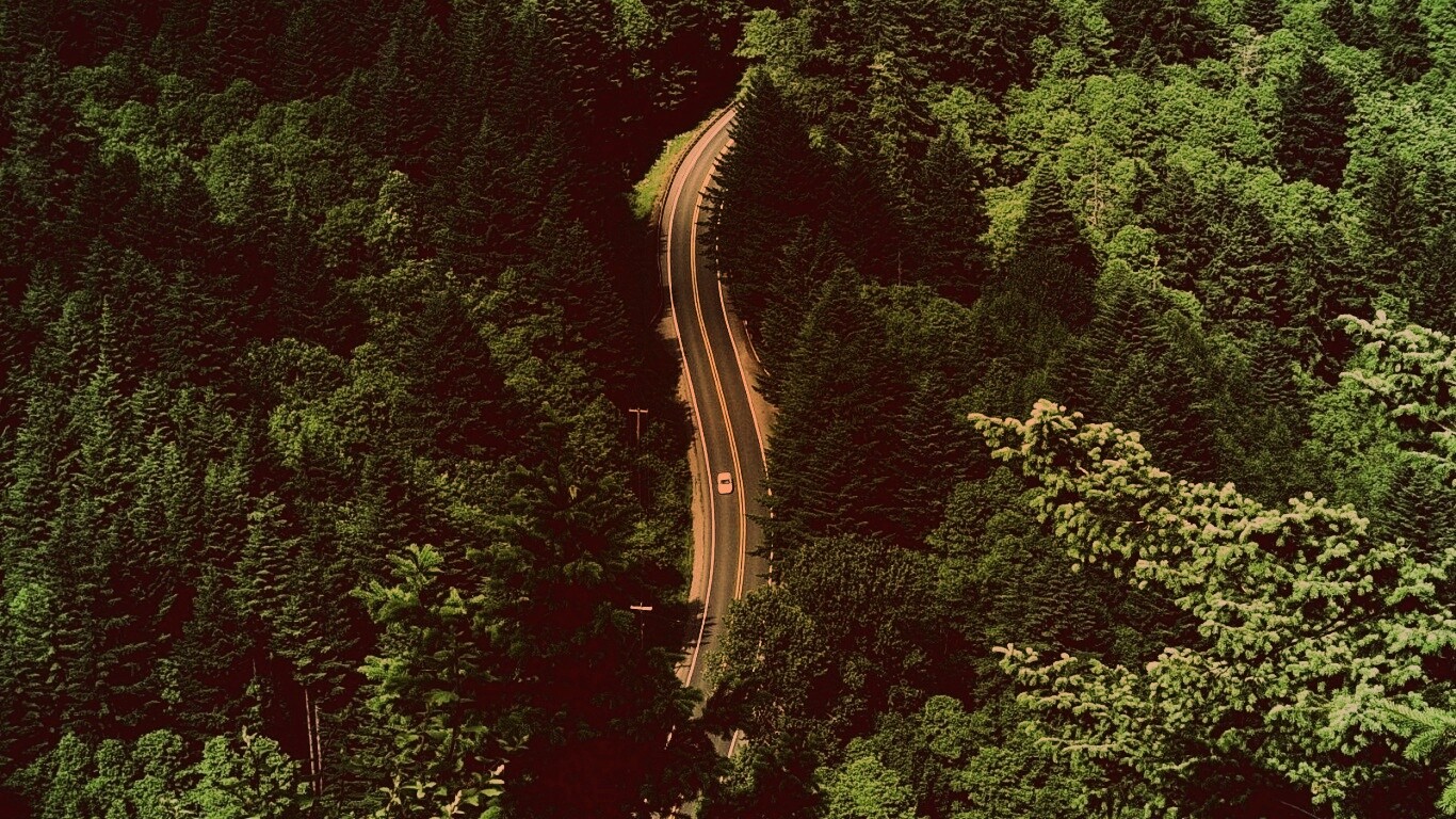 Лесная трасса обои