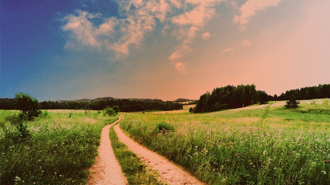 Дорога через луг обои