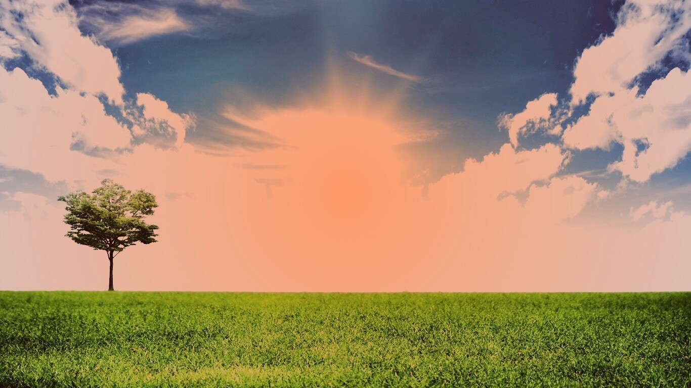 Один в целом мире обои