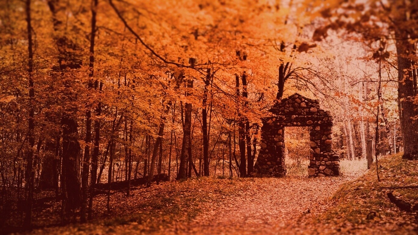 Каменная арка в осеннем лесу обои