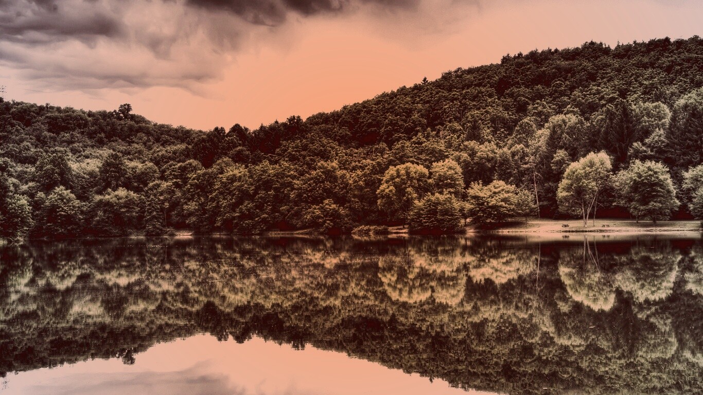 Лесной берег обои