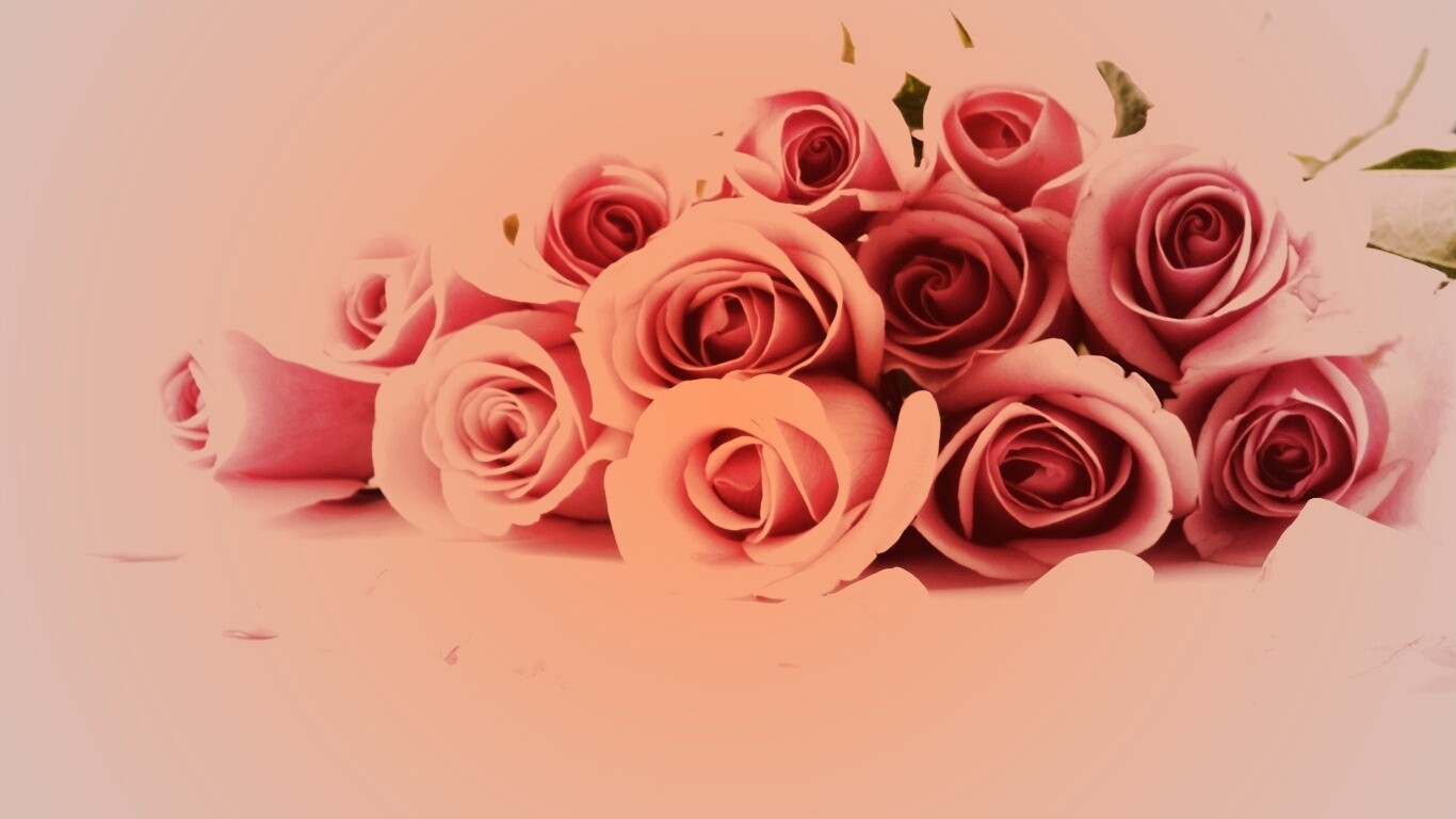 Букет роз обои