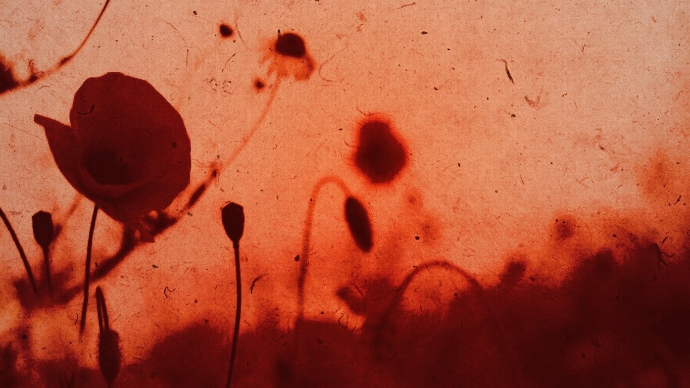 Кровавые цветы в стиле ретро обои