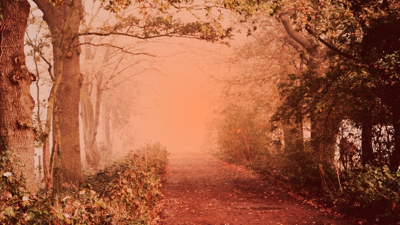 Парковая дорожка обои