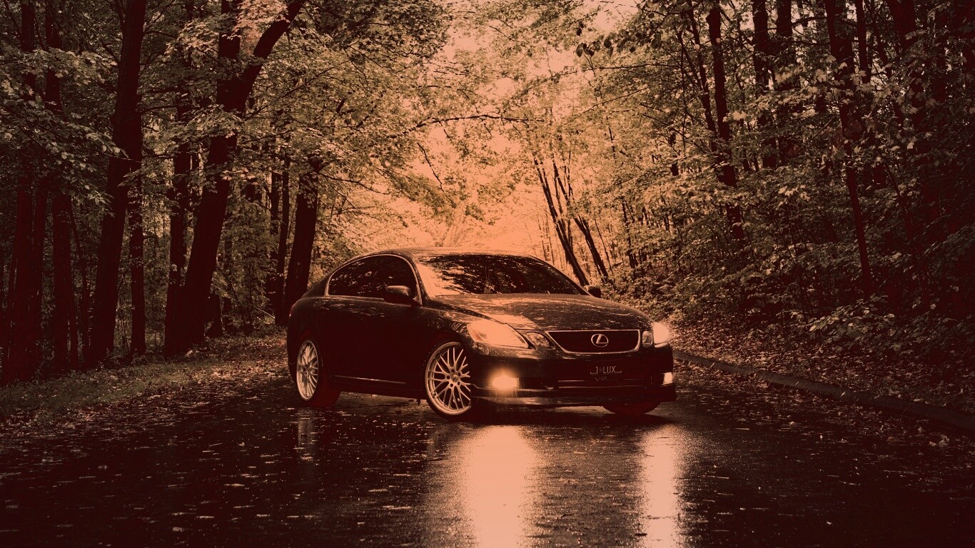 Лексус на лесной дороге обои
