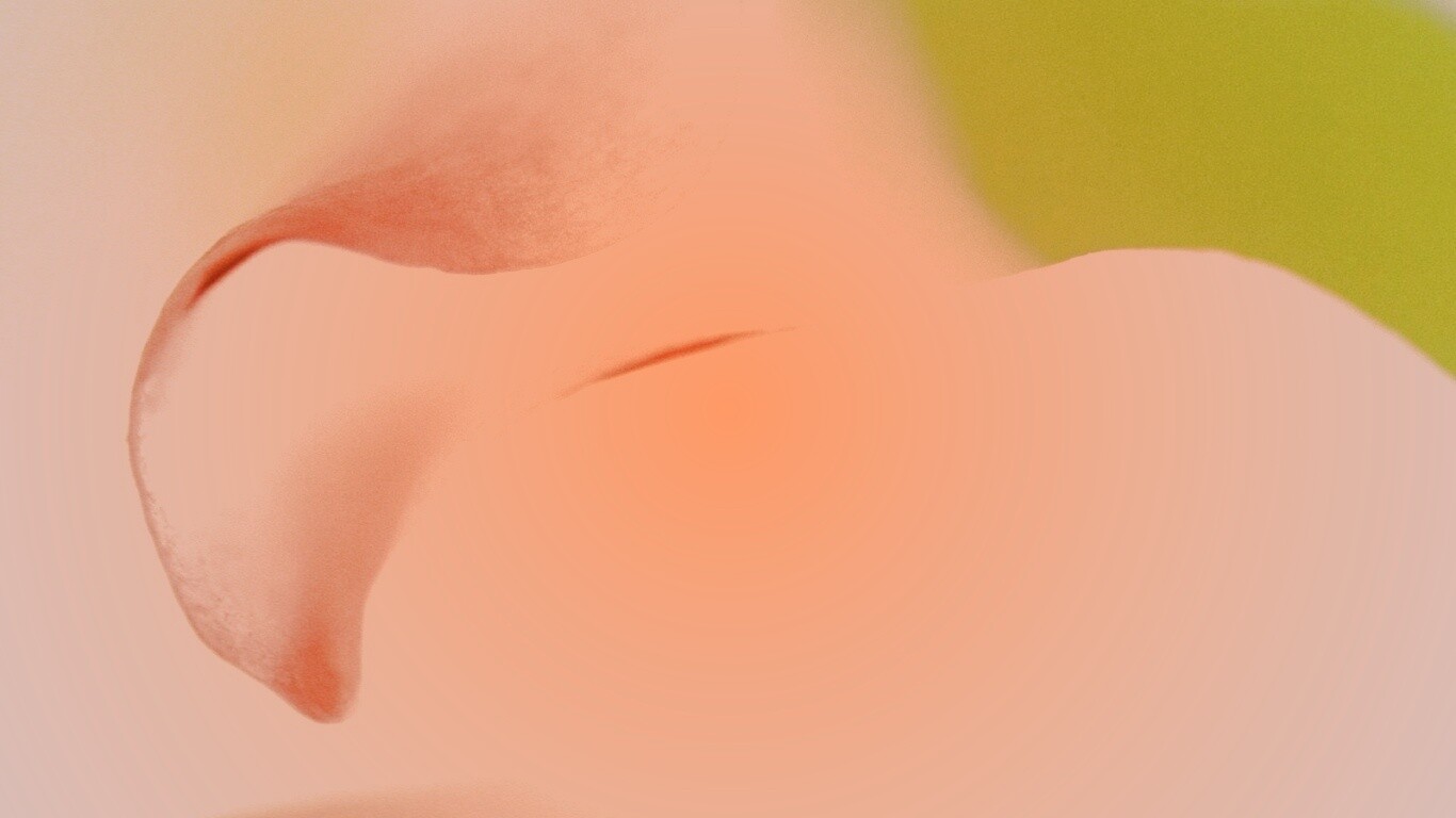 Оттенки природы обои